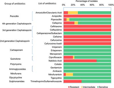 Extended-Spectrum Beta-Lactamase-Producing Escherichia coli in Drinking Water Samples From a Forcibly Displaced, Densely Populated Community Setting in Bangladesh